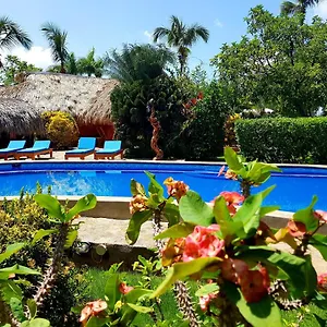 Bed & Breakfast Solazul